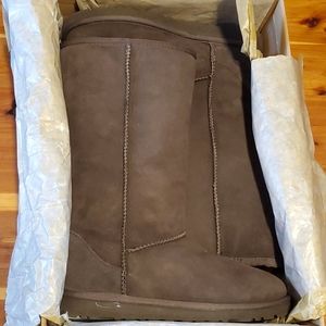 Brand new Chocolate Brown Classic tall UGG boots